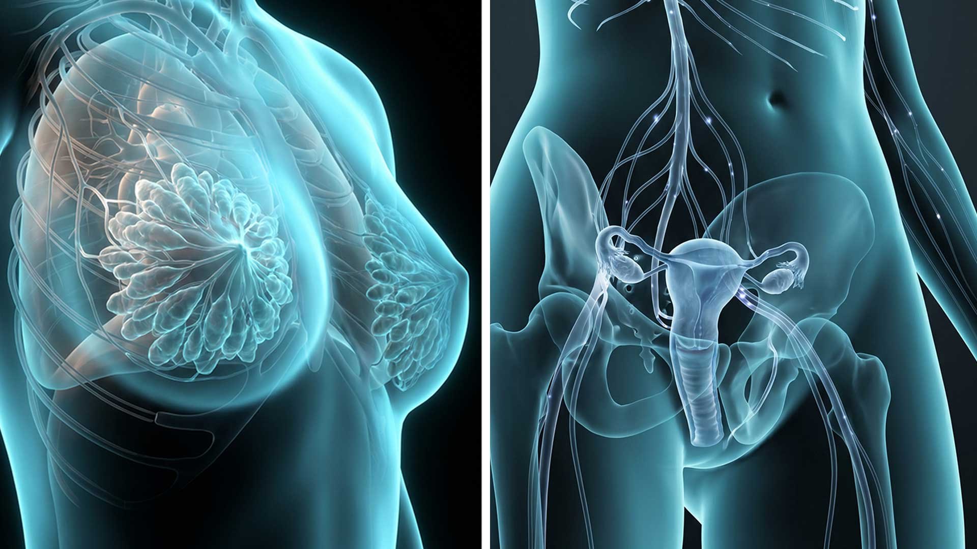 Así funciona el orgasmo femenino. Por eso dura tanto