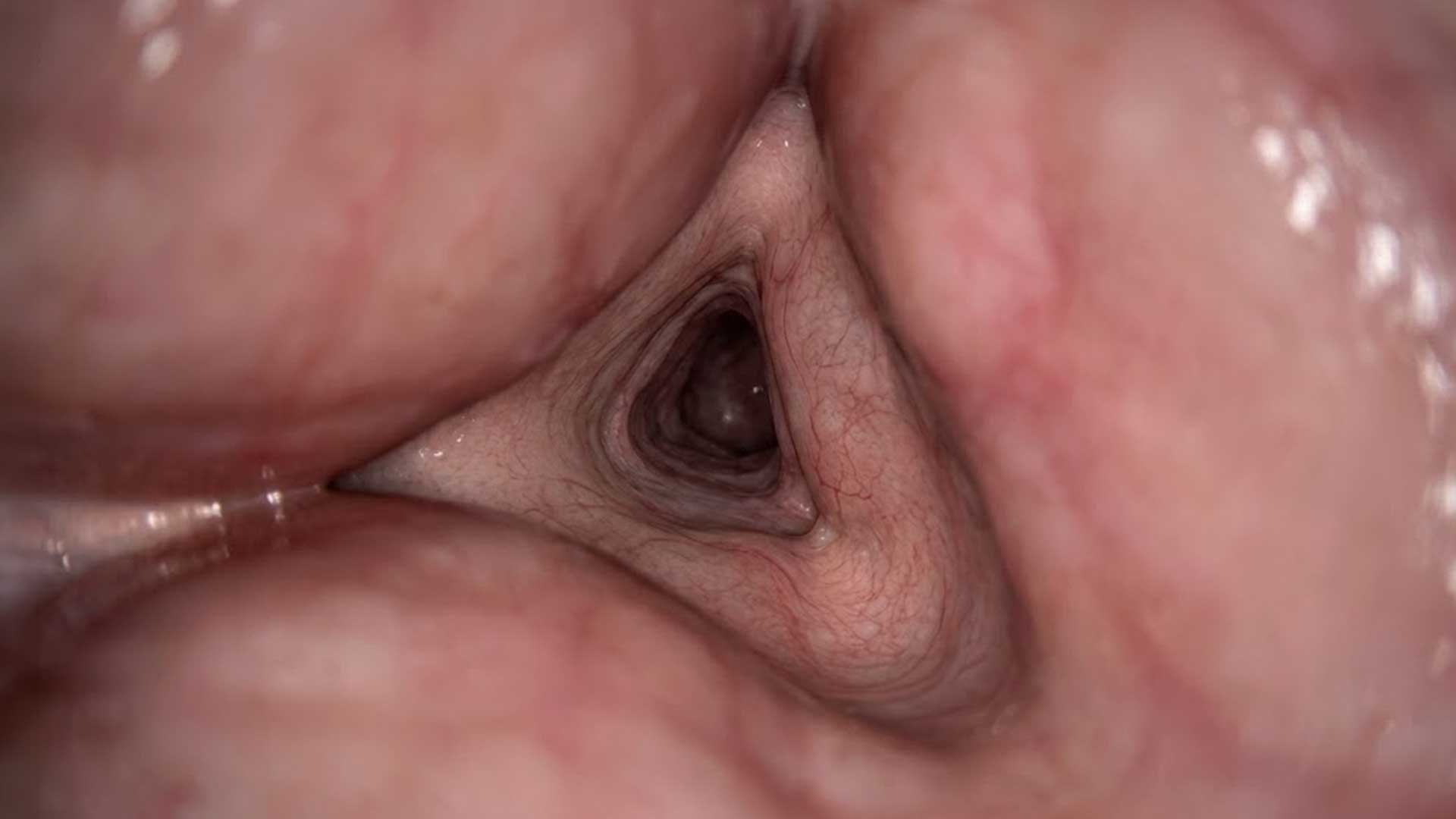 Descubre cómo tu cuerpo convierte la comida en popó