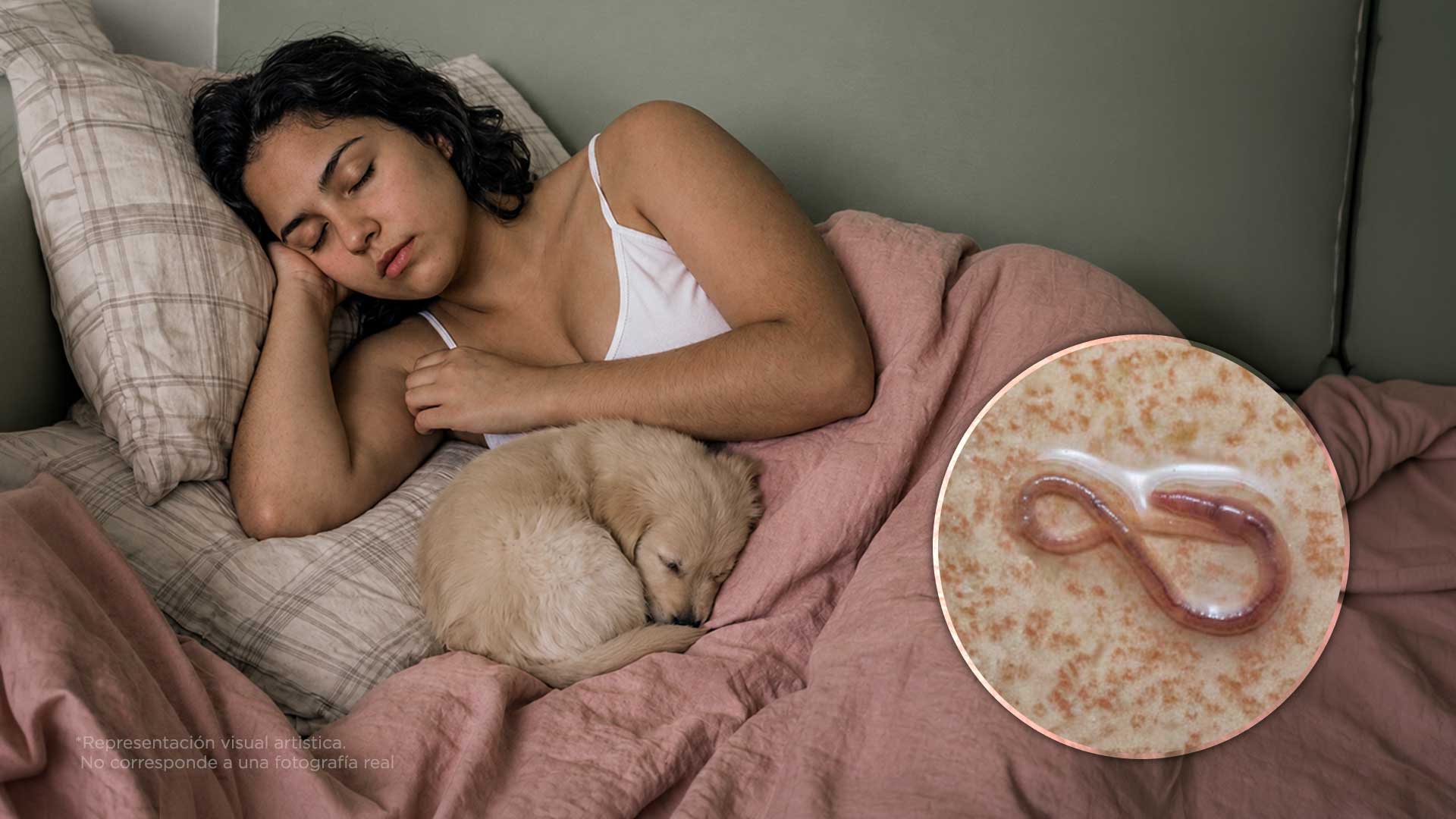 La peligrosa enfermedad que puedes contagiarte por dormir con tu perro o gato