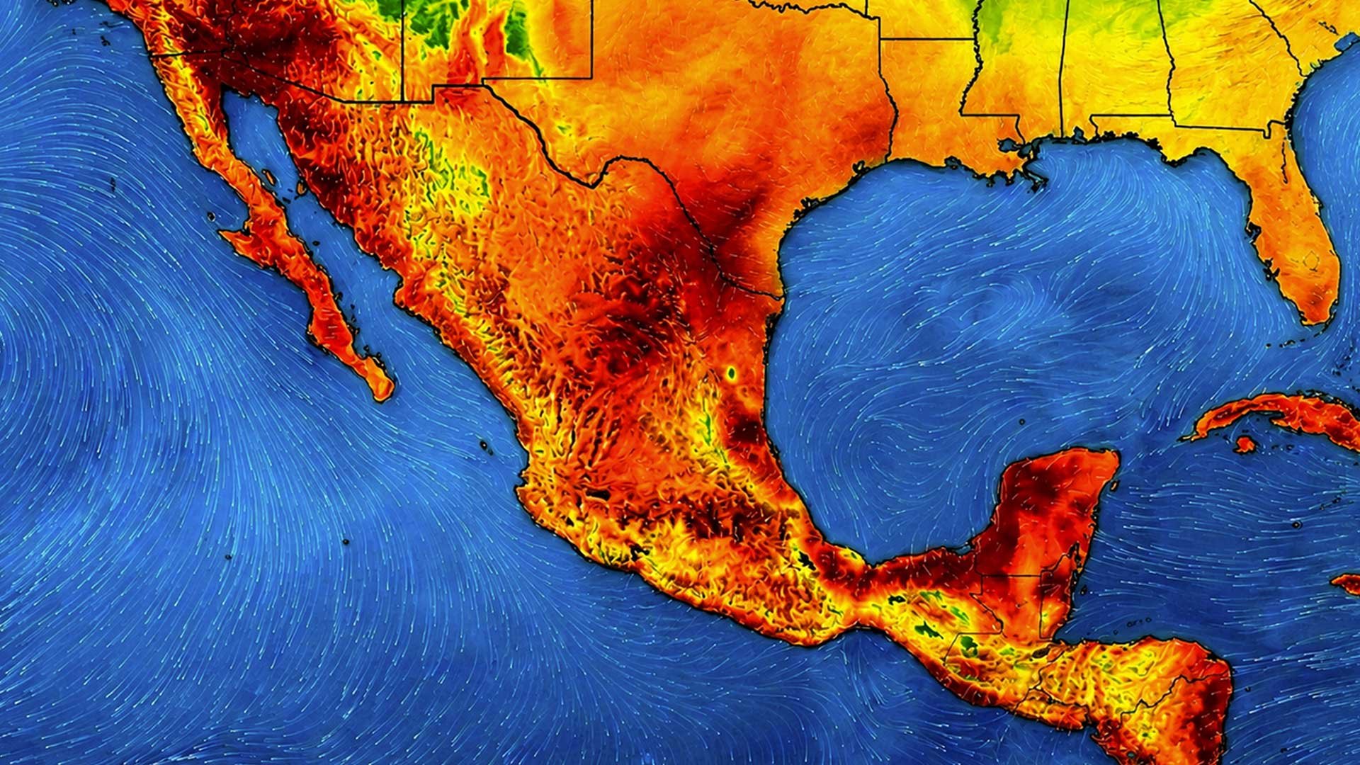 Llegan los días más calientes del año. Así debes prepararte