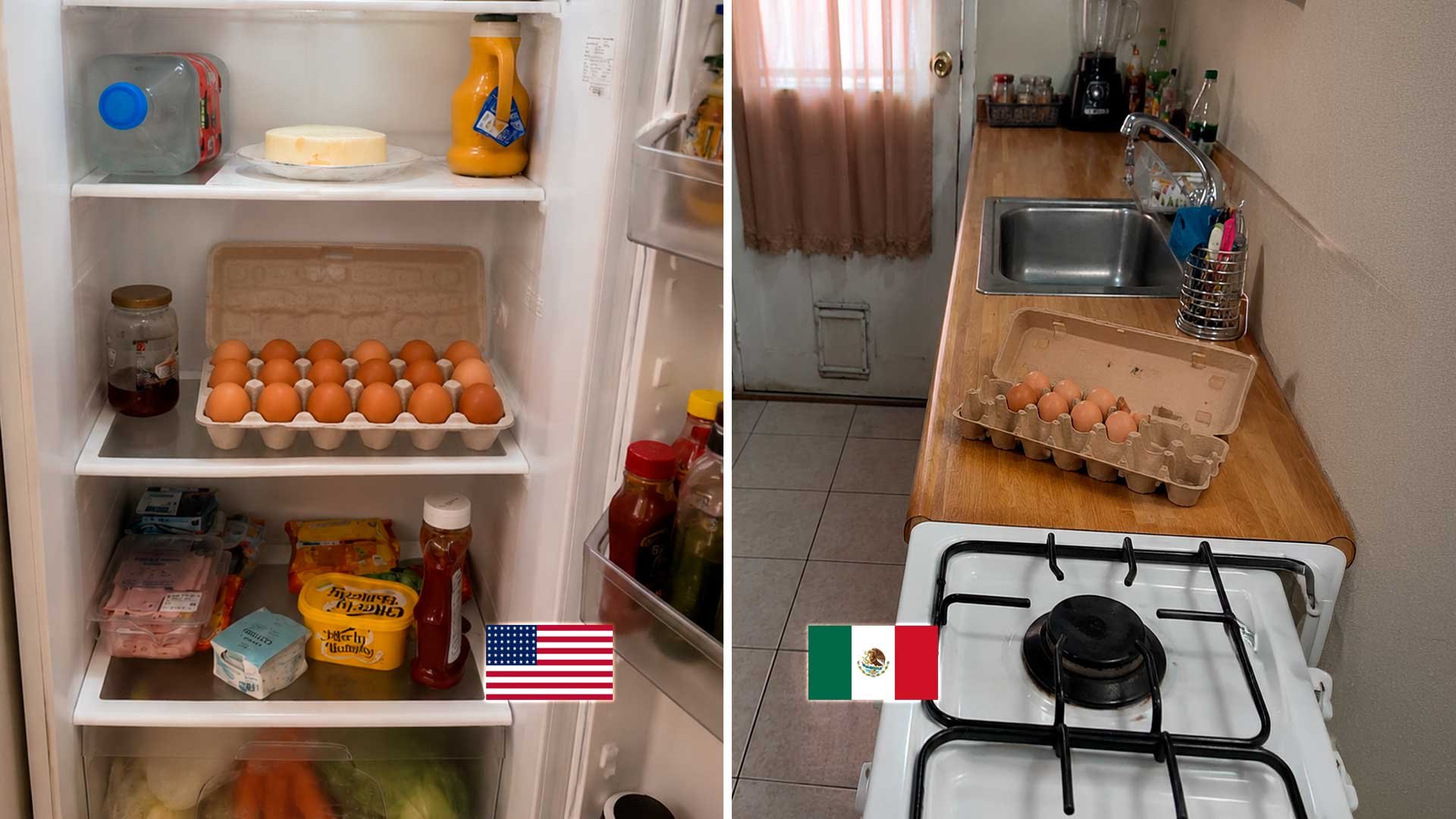 ¿Por qué en EU los huevos van en el refrigerador… y en México no?