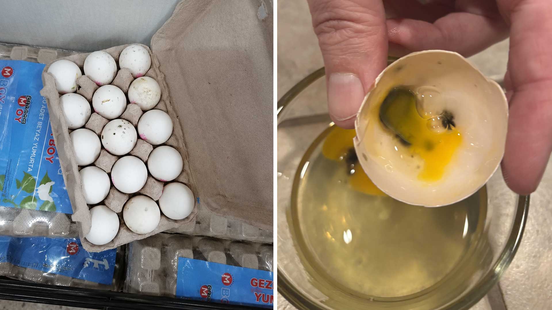 Retiran millones de huevos por riesgo de salmonela en USA